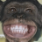 Herman